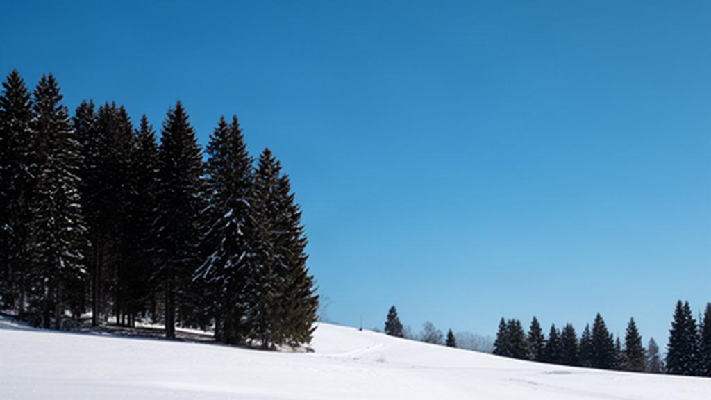 Klarer Winterhimmel über schneebedeckten Wiesen und dunklen Fichten