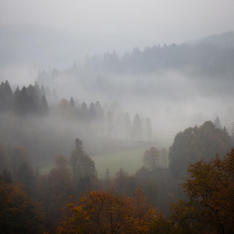 Herbstnebel liegt zwischen bewaldeten Hügeln der Steiermark, einzelne Baumreihen zeichnen sich ab